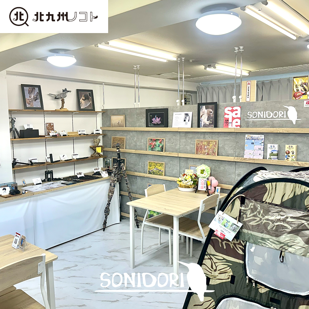 メディア「北九州ノコト」様にSONIDORIが記事として取り上げられました | 株式会社LUCE(ルーチェ)